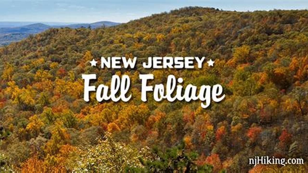 Nj Fall Foliage 2024