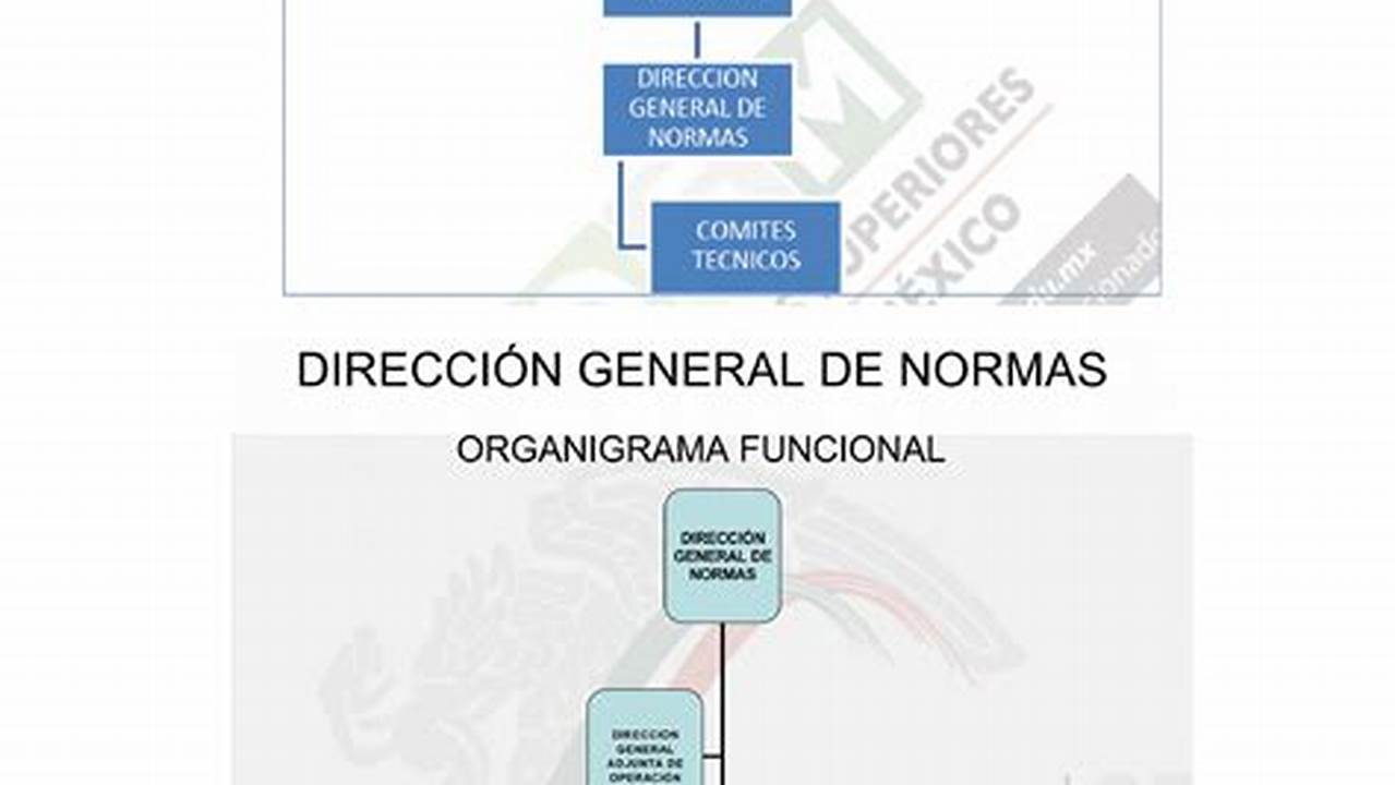 Normalización Del Modelo, MX Modelo
