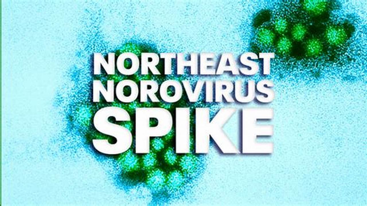 Norovirus 2024 Florida