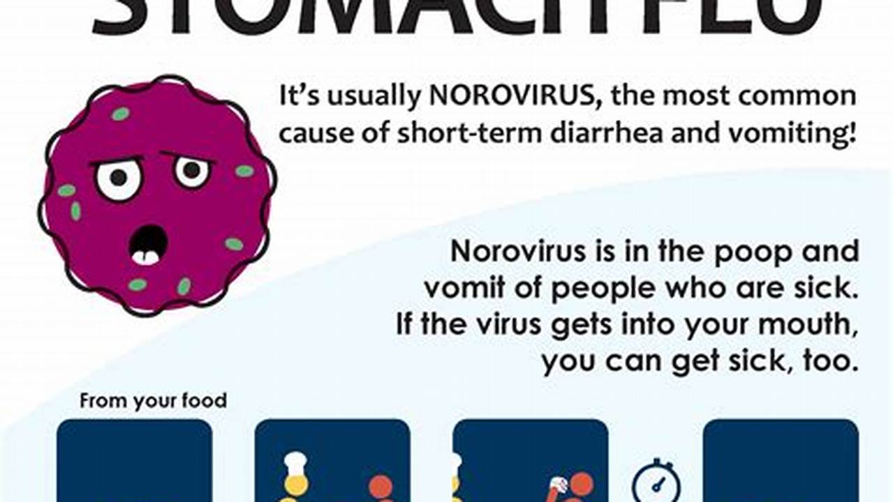 Norovirus Is A Stomach Bug That Can Cause Moderate To Intense Nausea, Vomiting And Diarrhoea., 2024