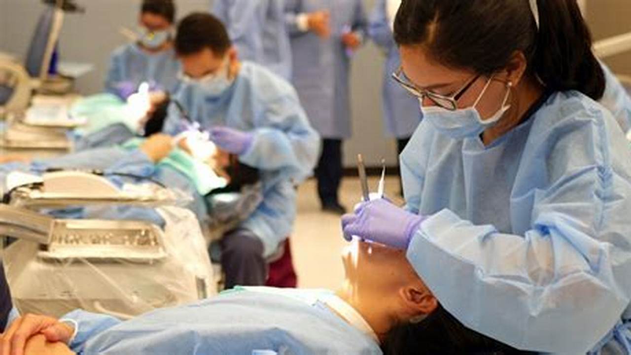Northeast 6 Year Dental School Attended, 2024