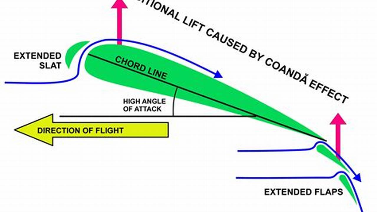 November 30, 2023 | 4 Common Types Of Wing Flaps (And How They Affect Flight), 2024