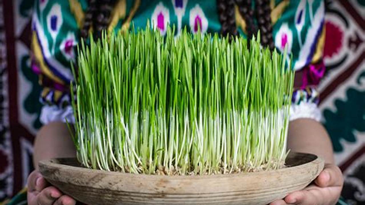 Nowruz Day 2024 Lok