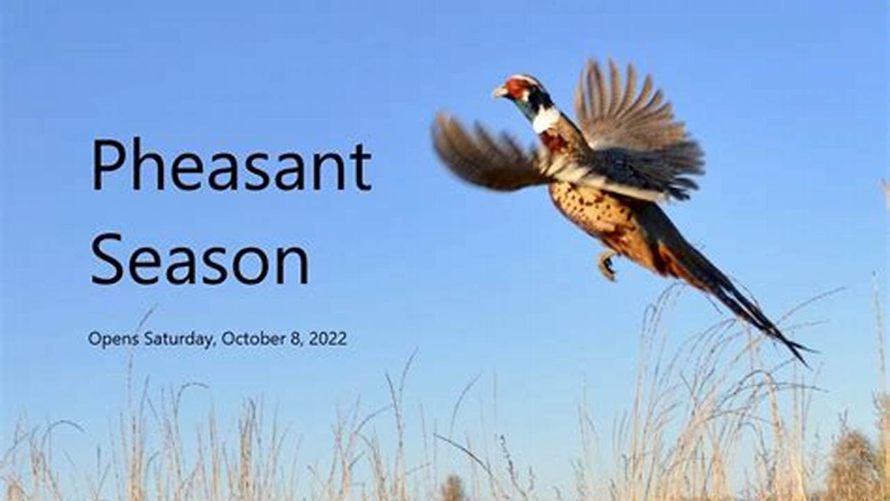 Nys Pheasant Season 2024