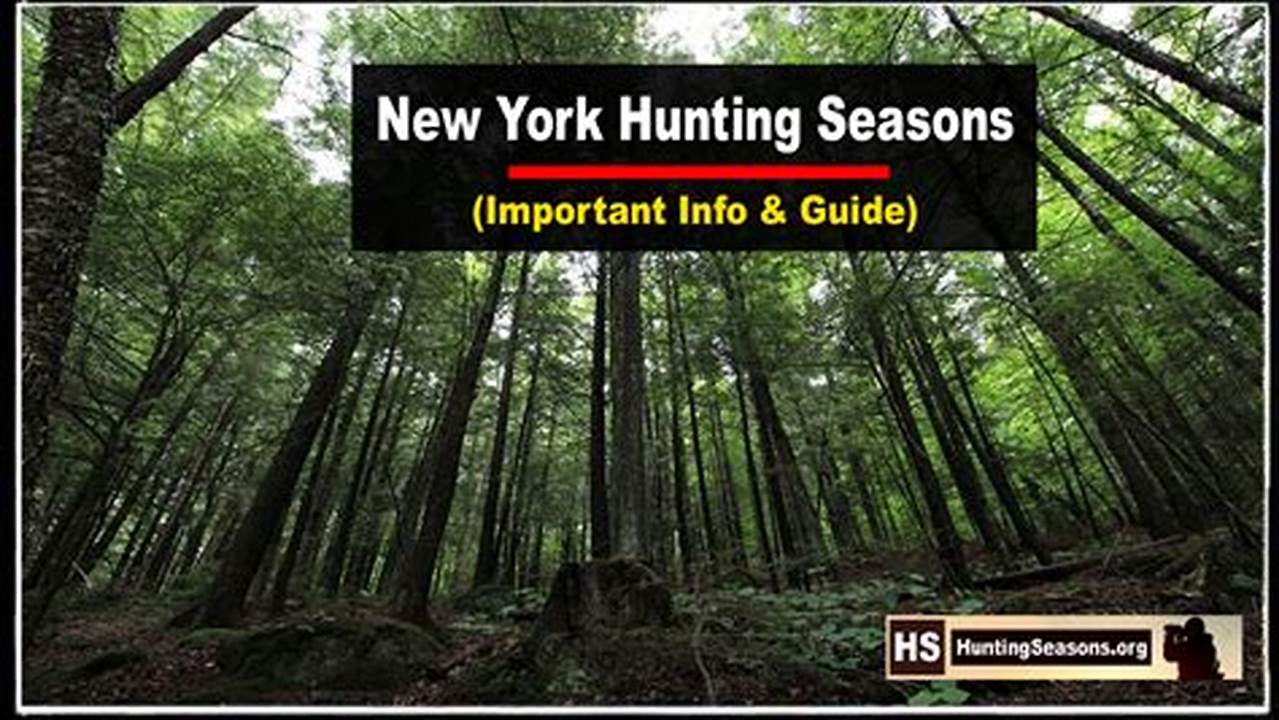 Nysdec 2024 Hunting Seasons