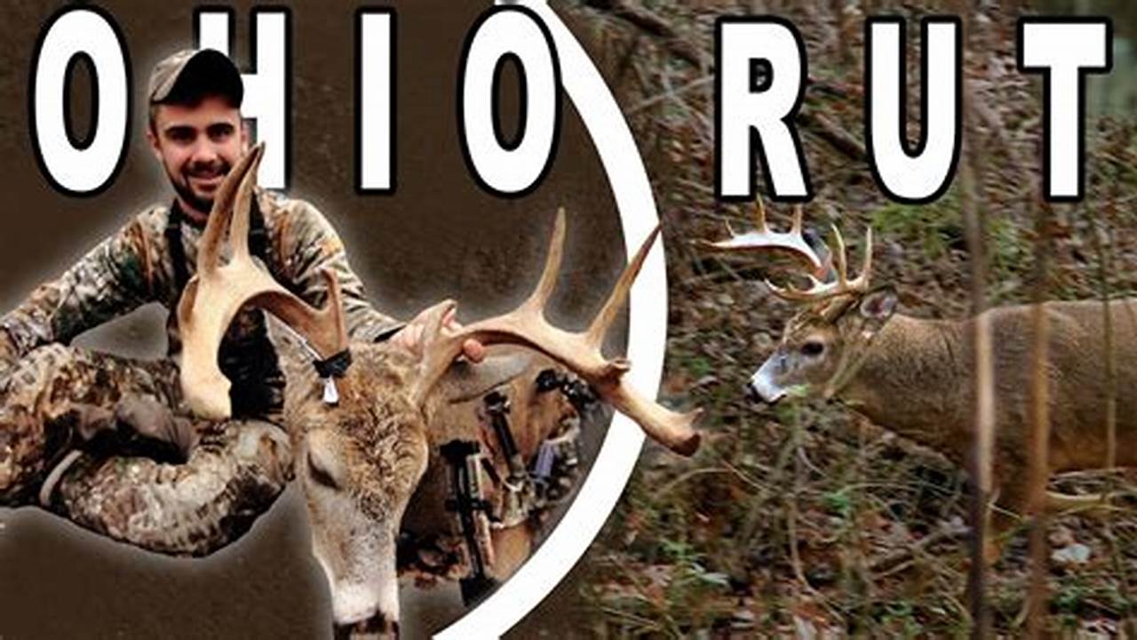 Ohio 2024 Deer Rut