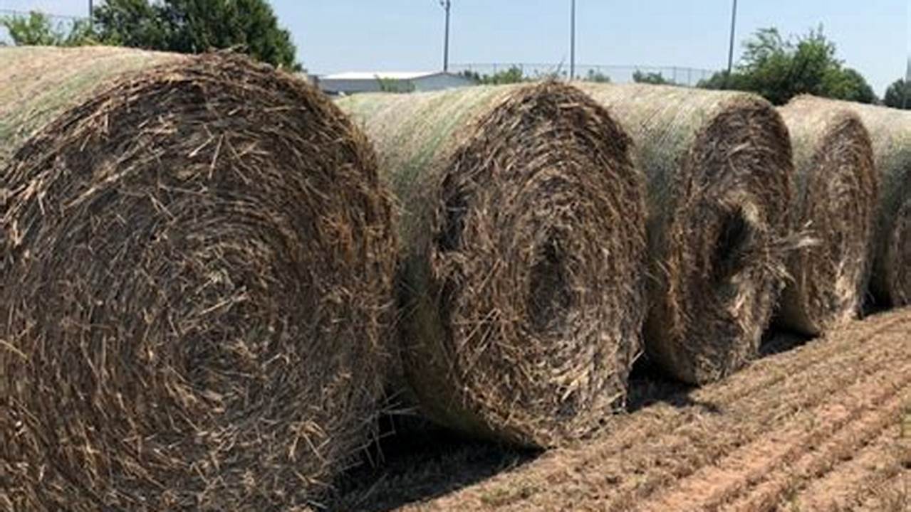 Oklahoma Hay Prices 2024