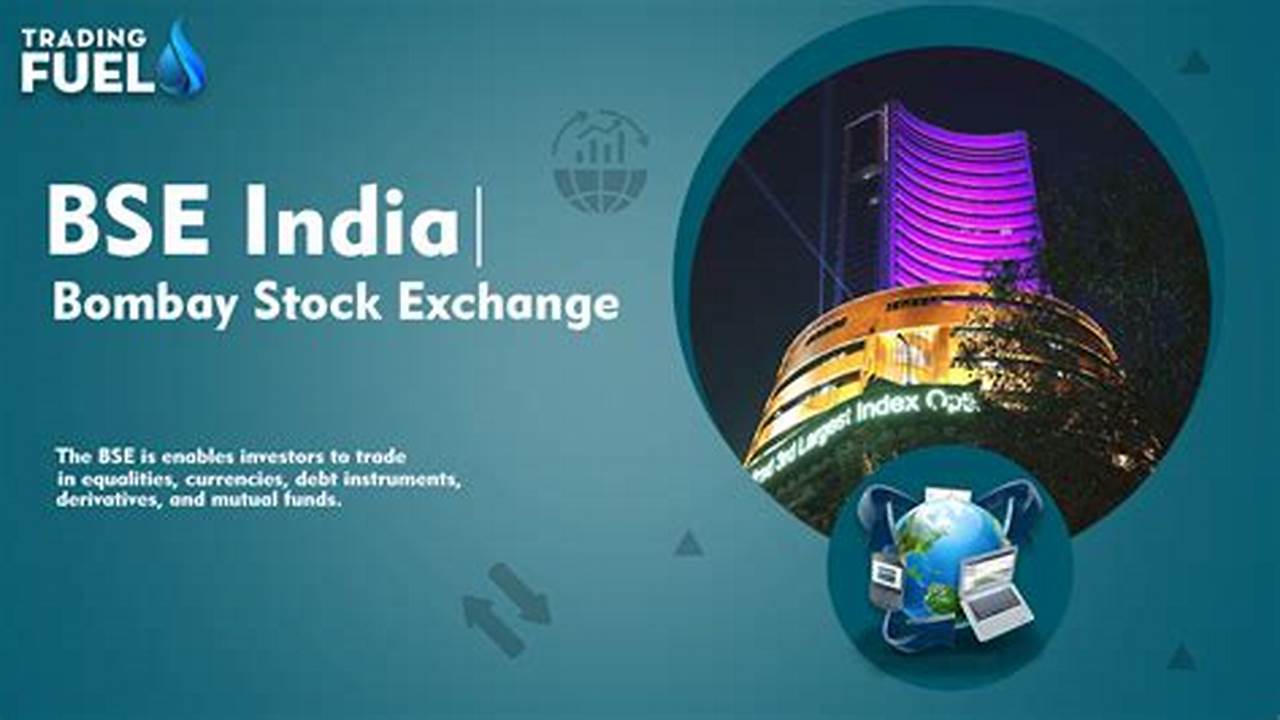 On 8Th March 2024, Trading Activities On Both The Bombay Stock Exchange (Bse)., 2024