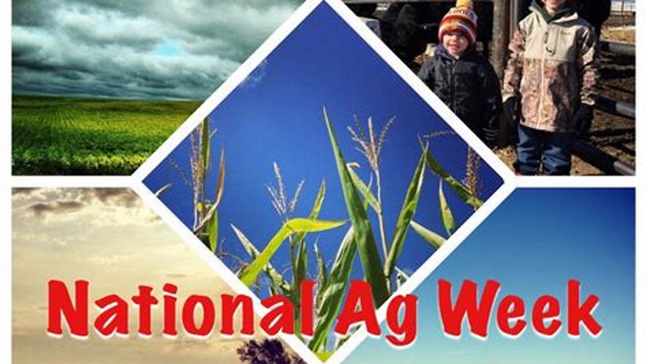 On National Agriculture Day, We Celebrate Generations Of American Farmers, Farmworkers, Fishers, Ranchers, Foresters, And All Those Who Work Around The Clock To Put Food On Our Tables And Steward Our Nation&#039;s Lands., 2024