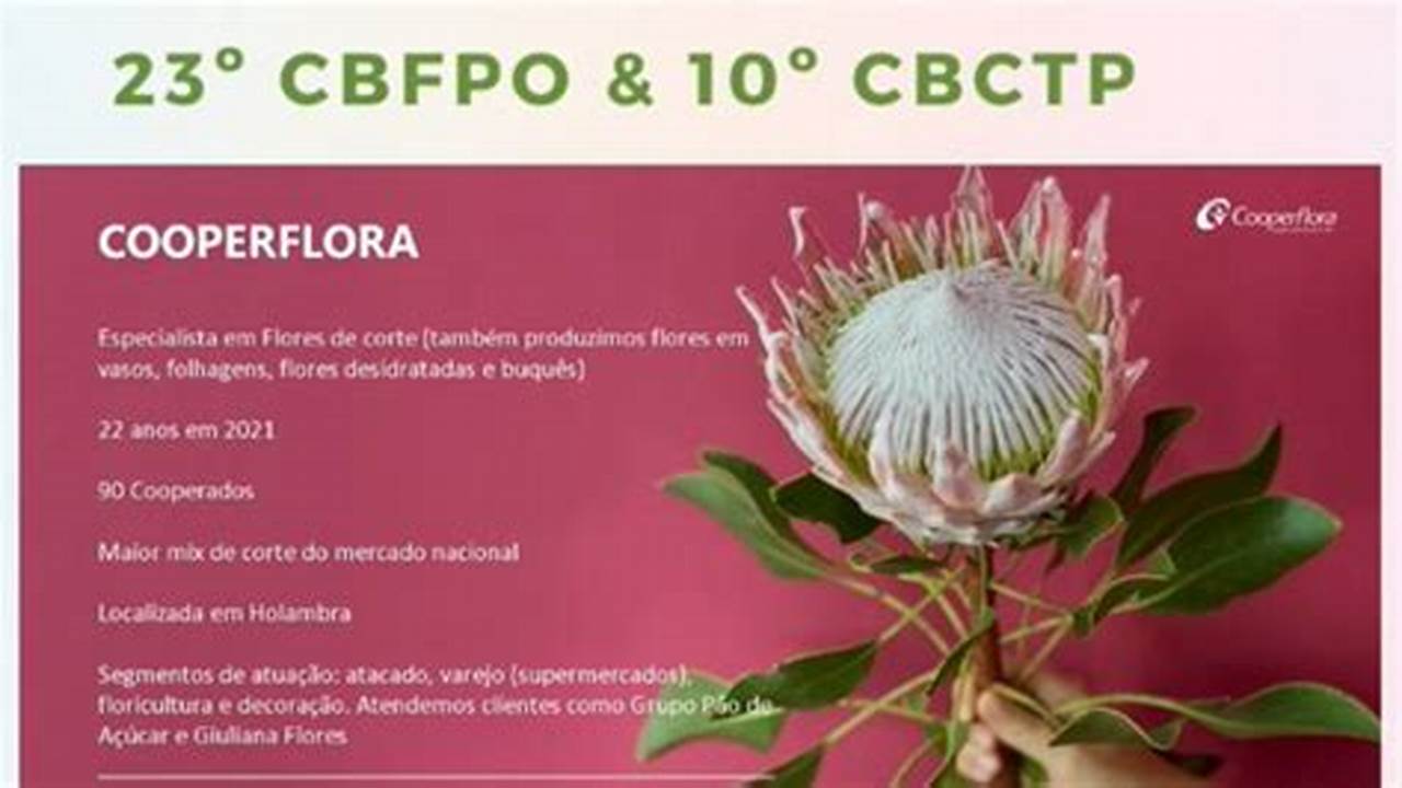 Opiniões De Especialistas Sobre O Congresso Brasileiro De Floricultura E Plantas Ornamentais, Plantas