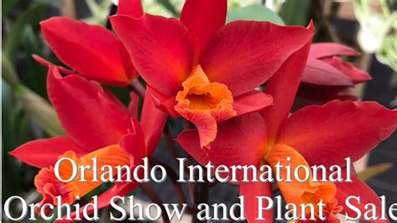 Orchid Shows Florida 2024