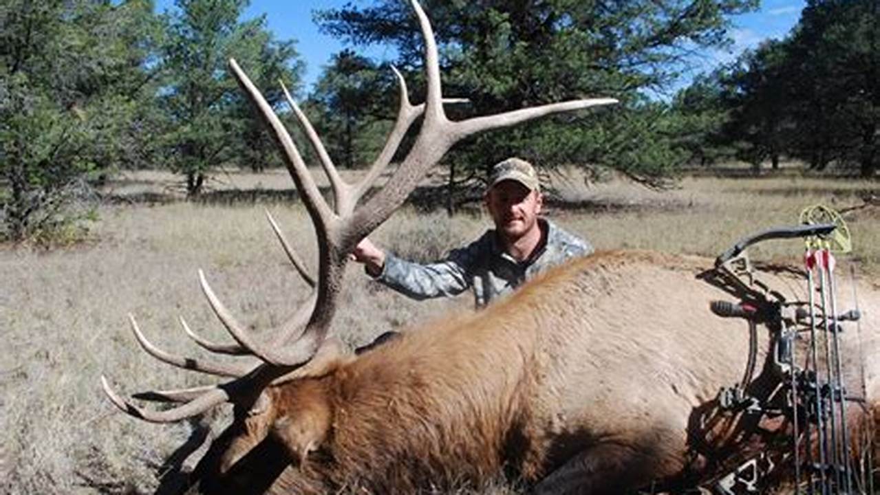 Oregon Archery Elk Season 2024