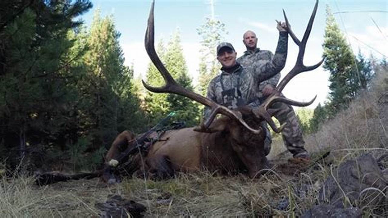 Oregon Elk Season 2024