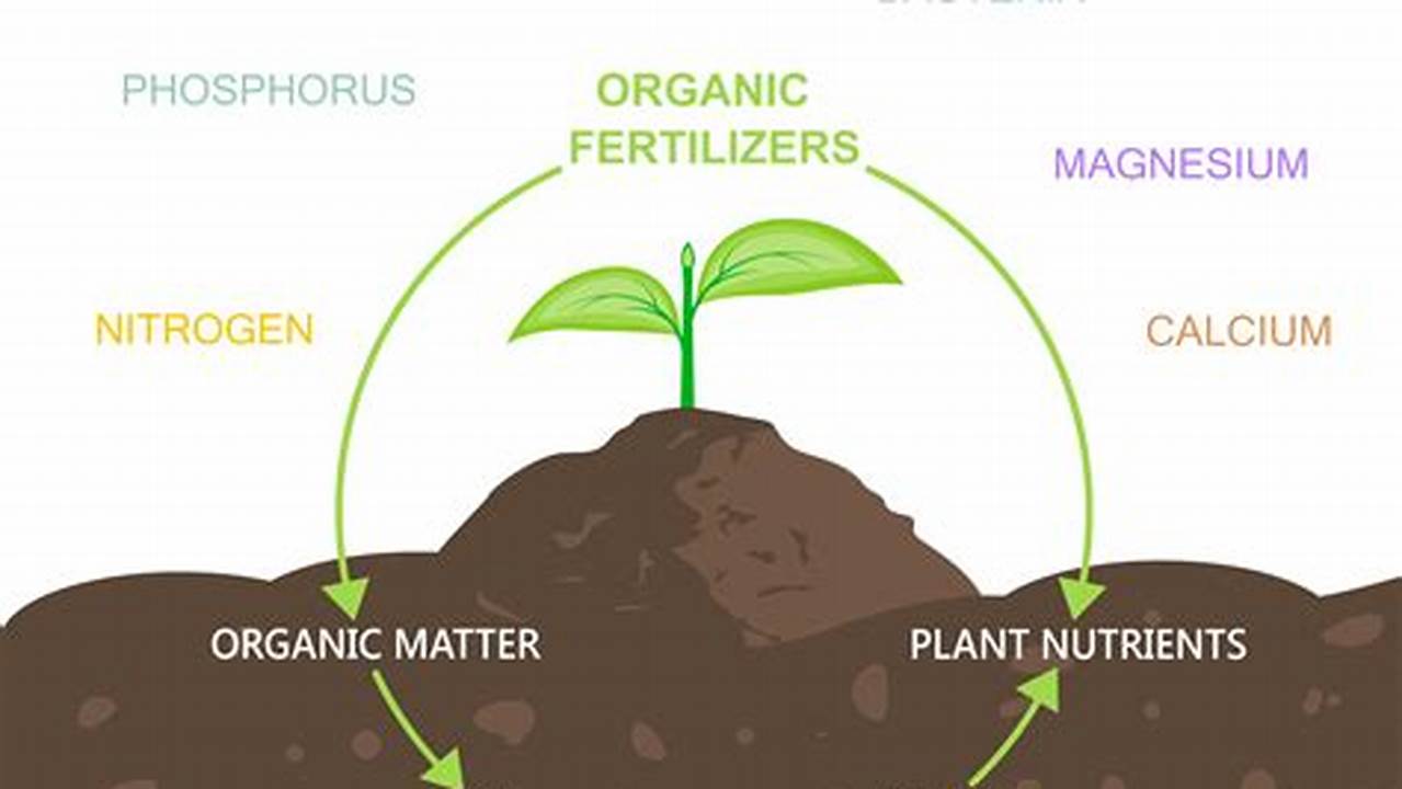 Organic Fertilizers, Farming Practices