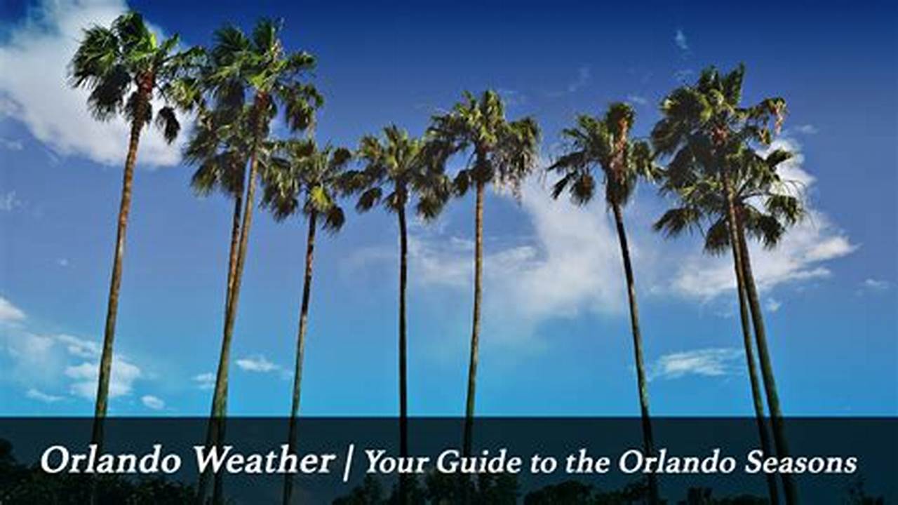 Orlando Florida Weather In December 2024