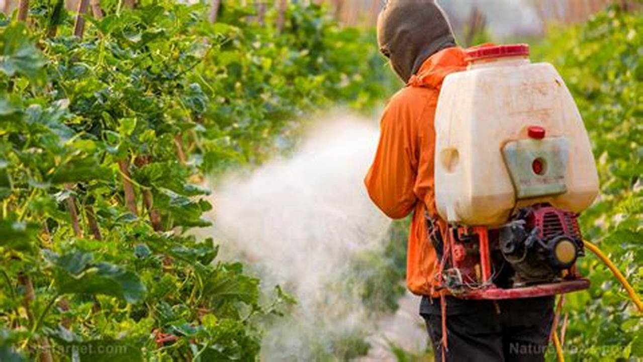 Overuse Of Pesticides, Farming Practices