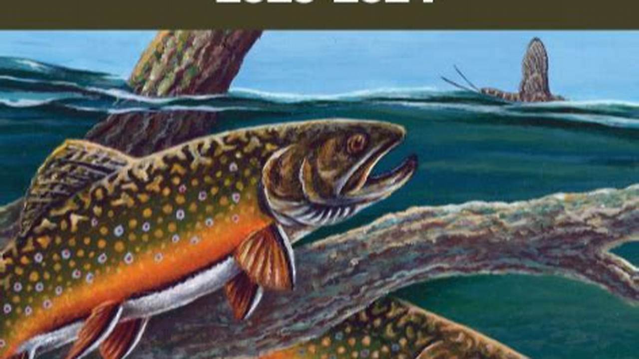 Pa Trout Stocking Schedule 2024