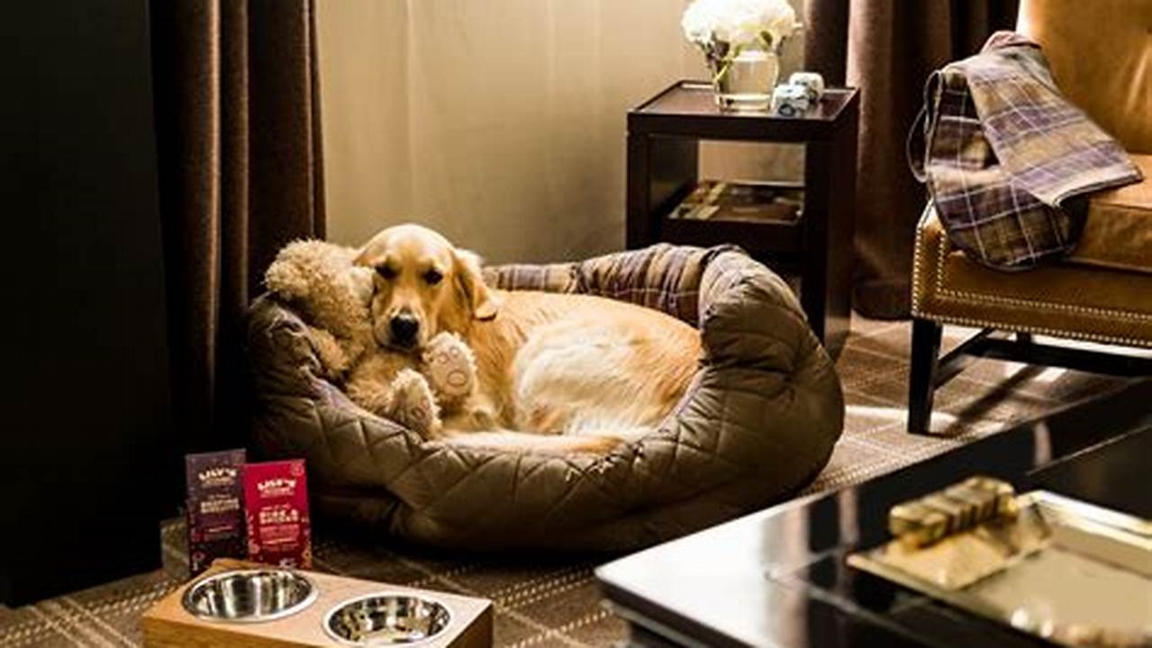 Packages, Pet Friendly Hotel