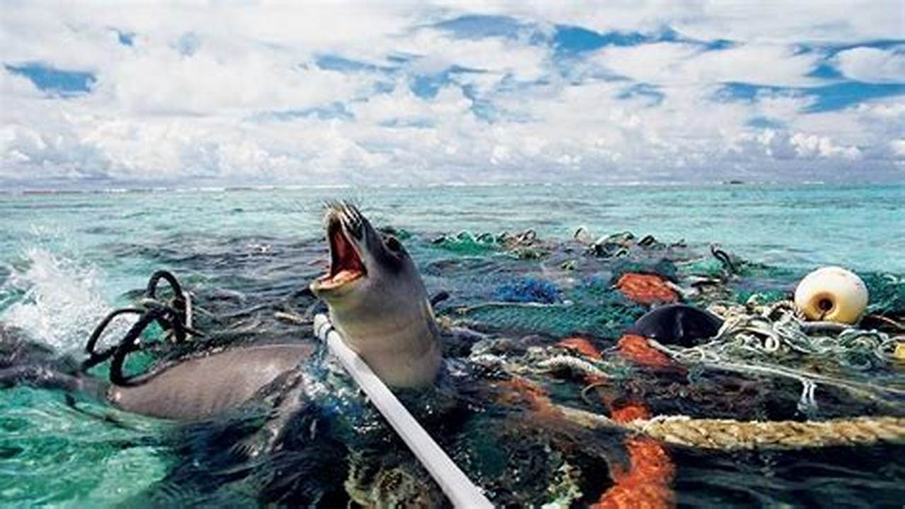 Packaging, Save Ocean