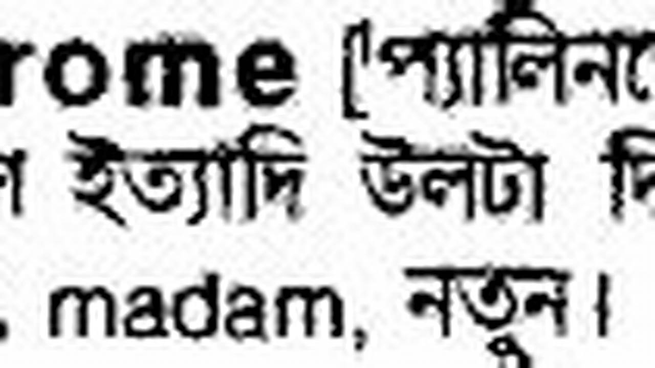 Palindrome Meaning In Bengali