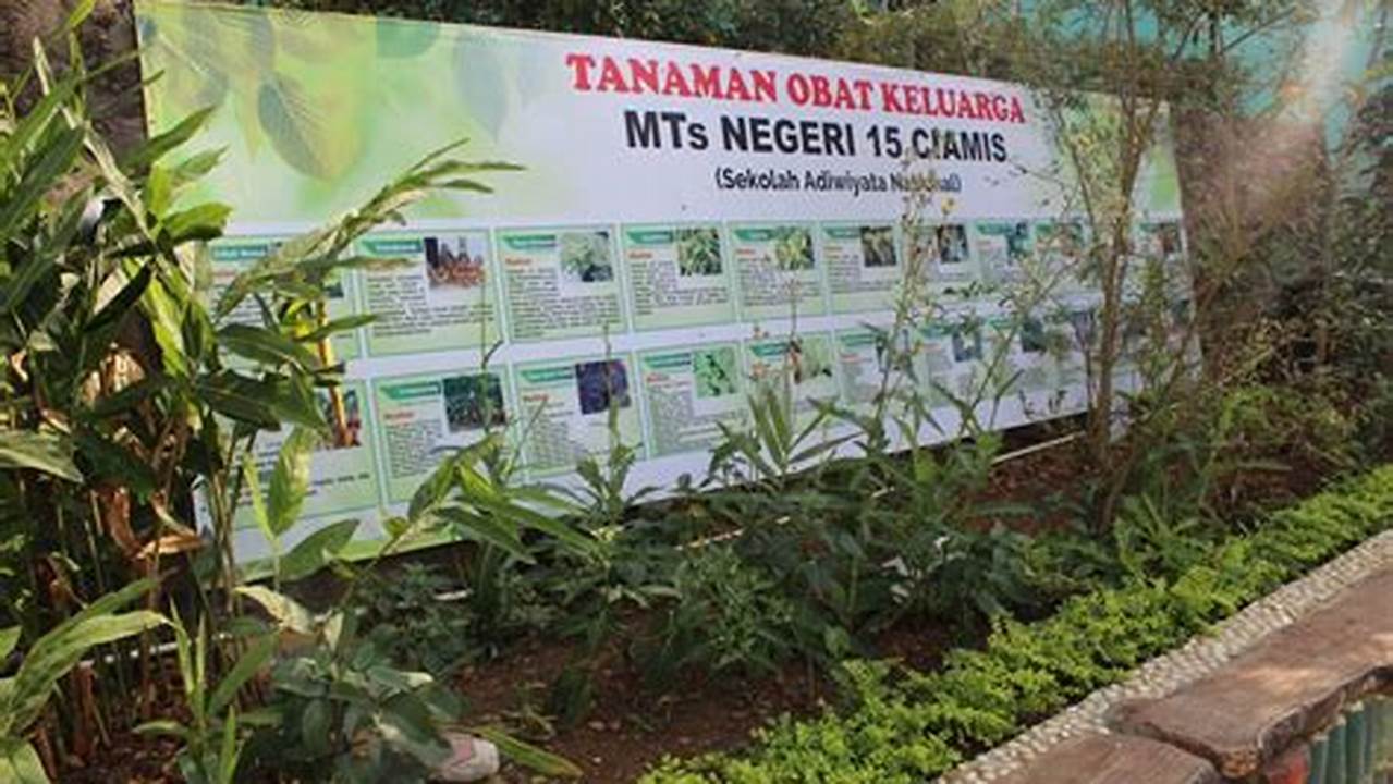 Panen Tepat Waktu, Tanaman Obat Keluarga