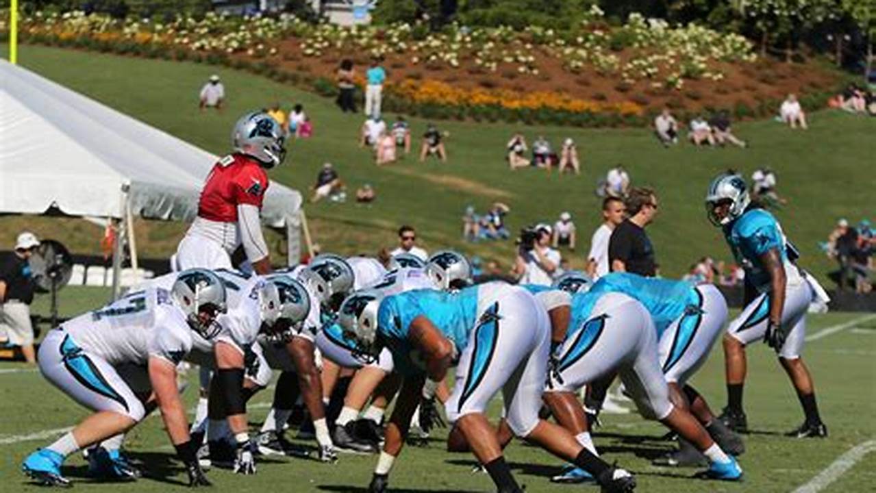 Panthers Training Camp 2024