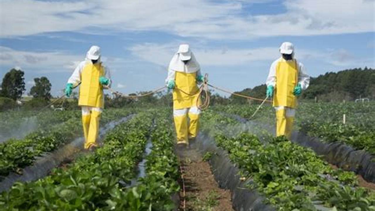 Para Reduzir O Risco De Contaminação Por Pesticidas, Você Pode, Plantas
