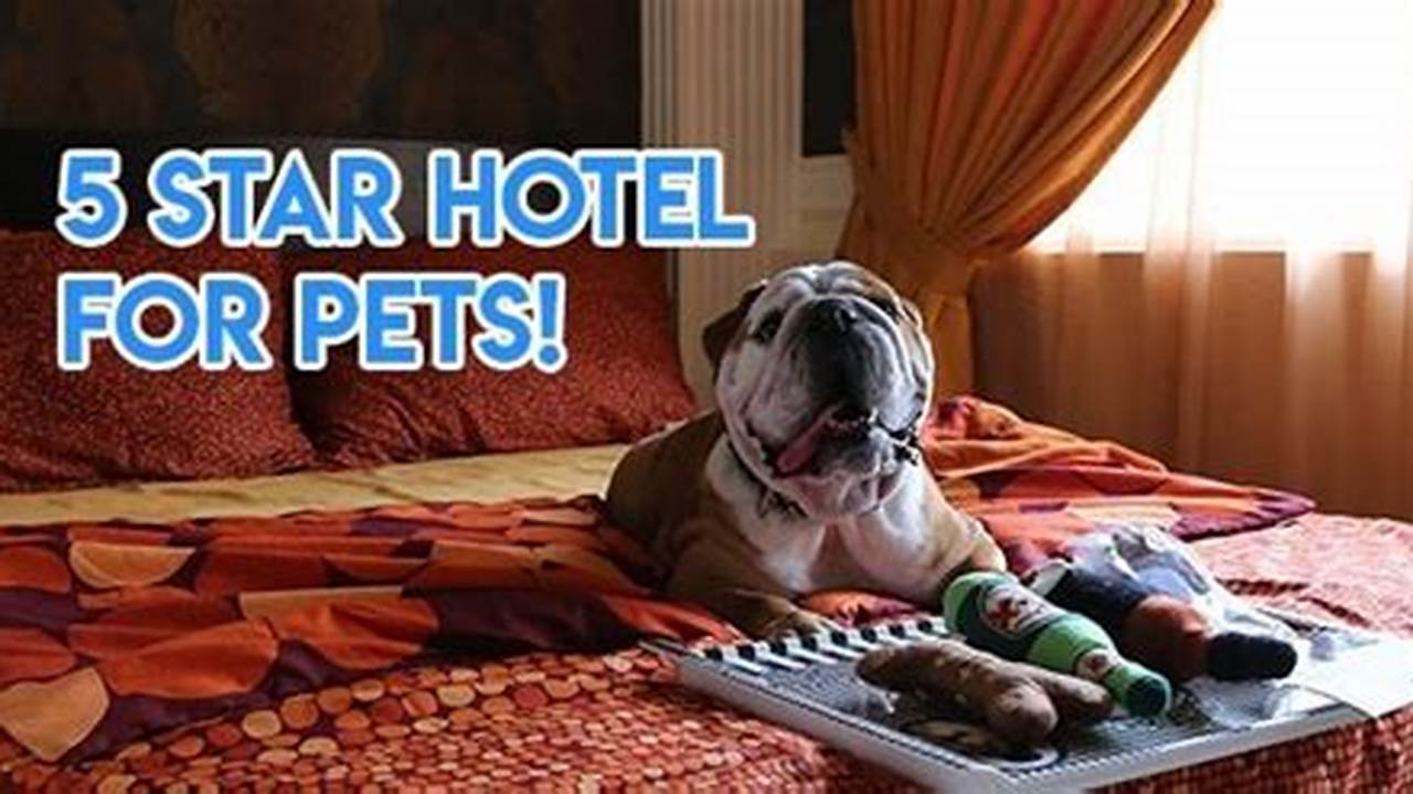 Peace Of Mind, Pet Friendly Hotel