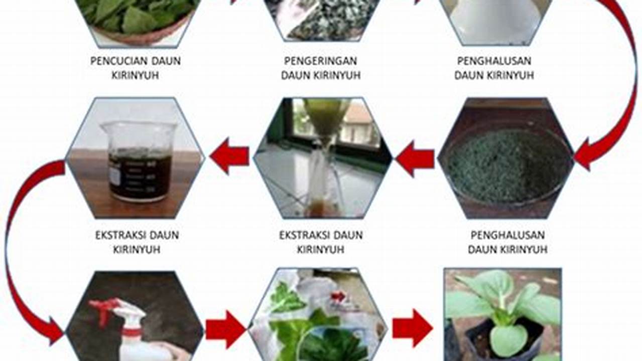 Pembuatan Ekstrak, Tanaman Obat Keluarga