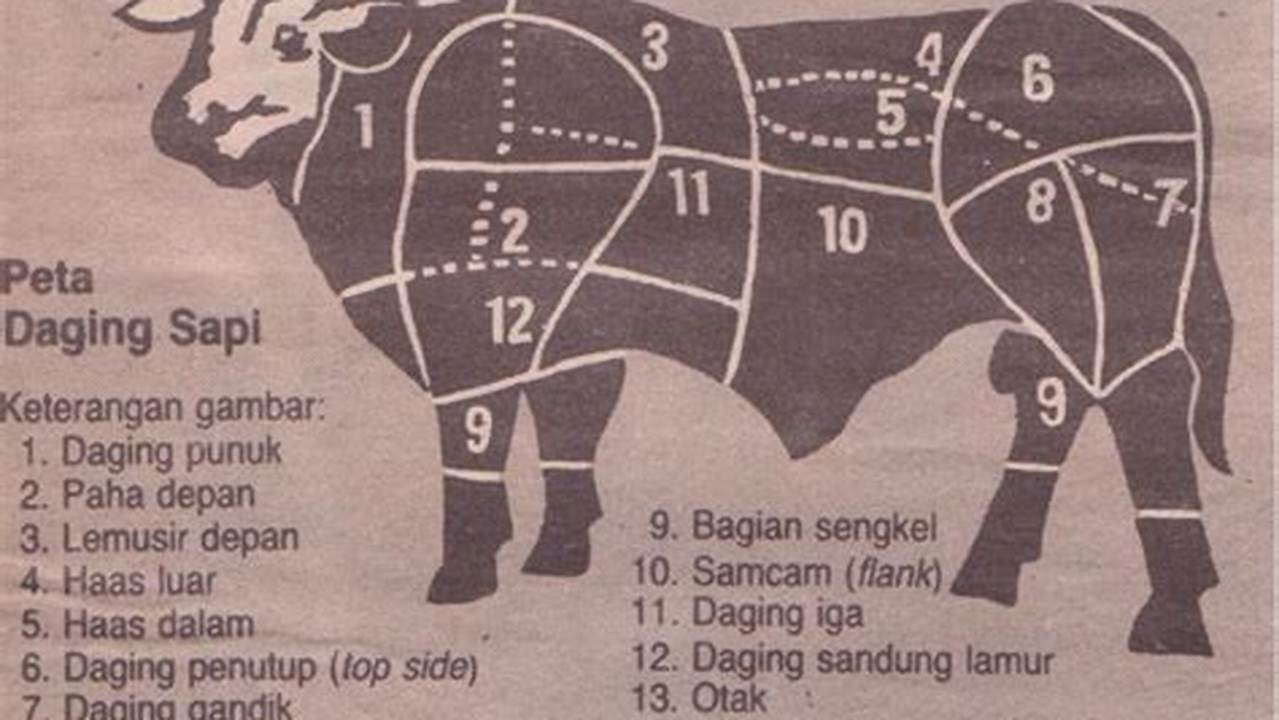 Pemilihan Daging Sapi, Resep3