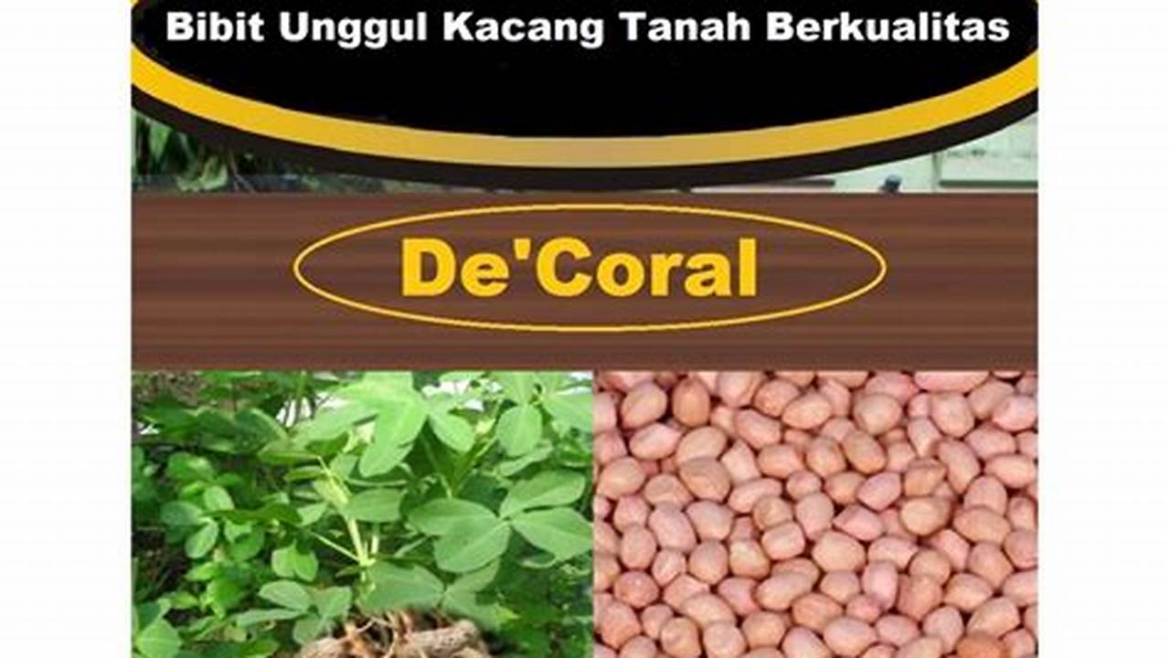 Pemilihan Kacang Tanah Berkualitas, Resep7-10k
