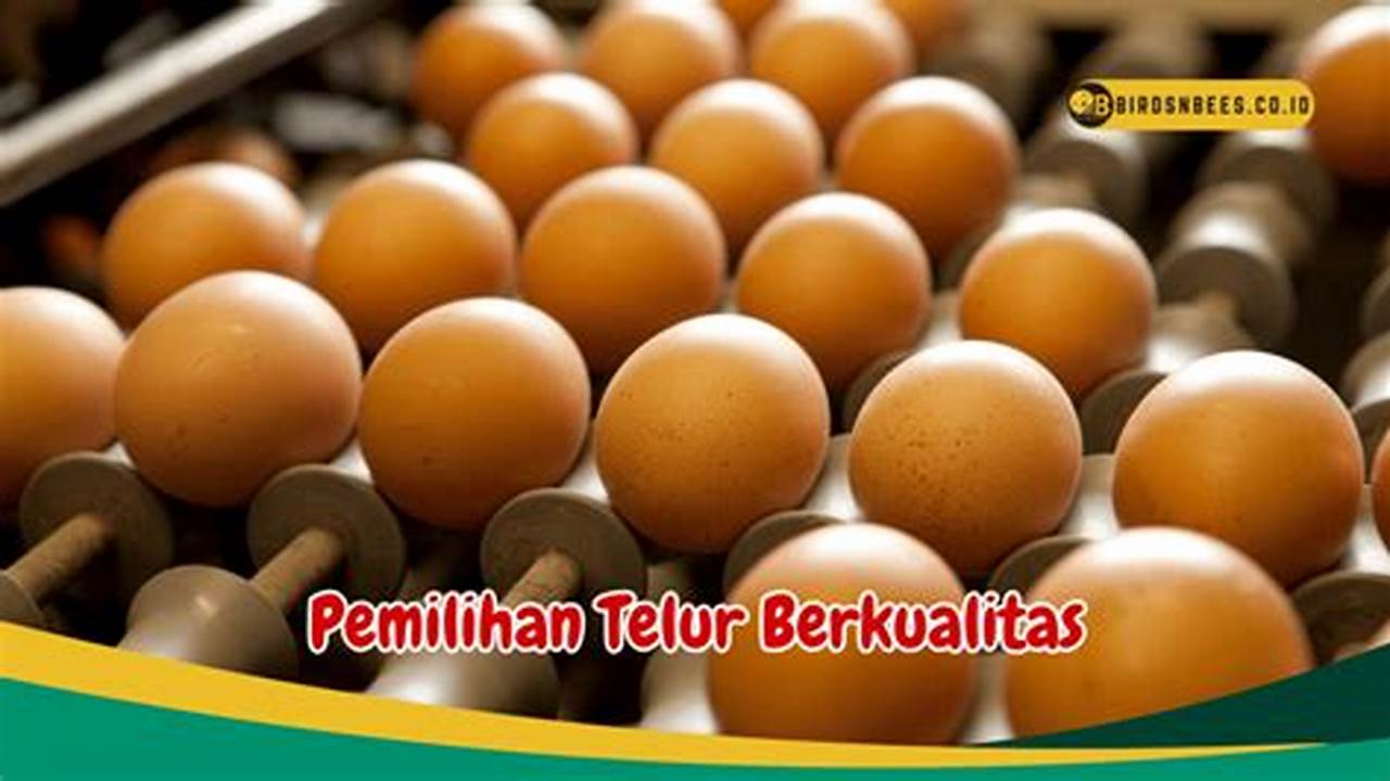 Pemilihan Telur, Resep6-10k