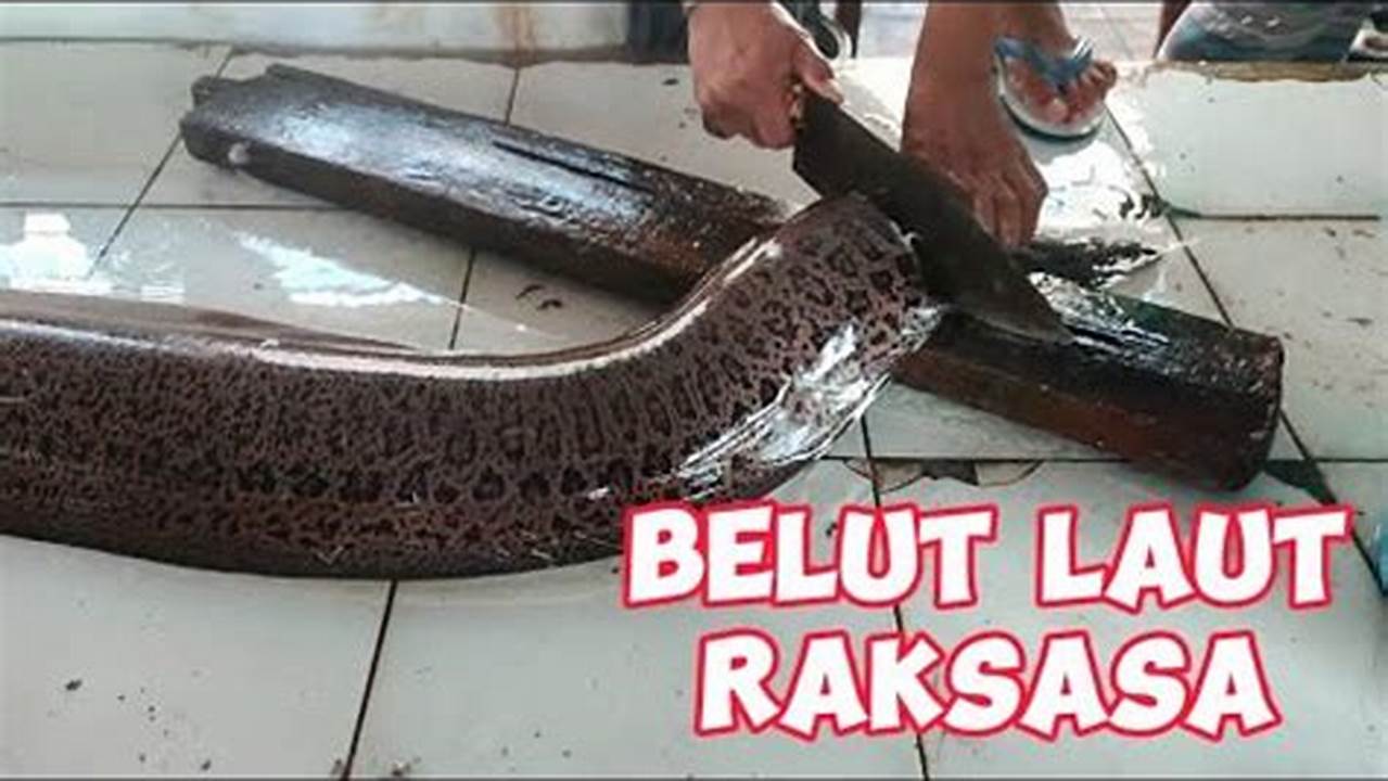 Pemotongan Belut, Resep4-10k