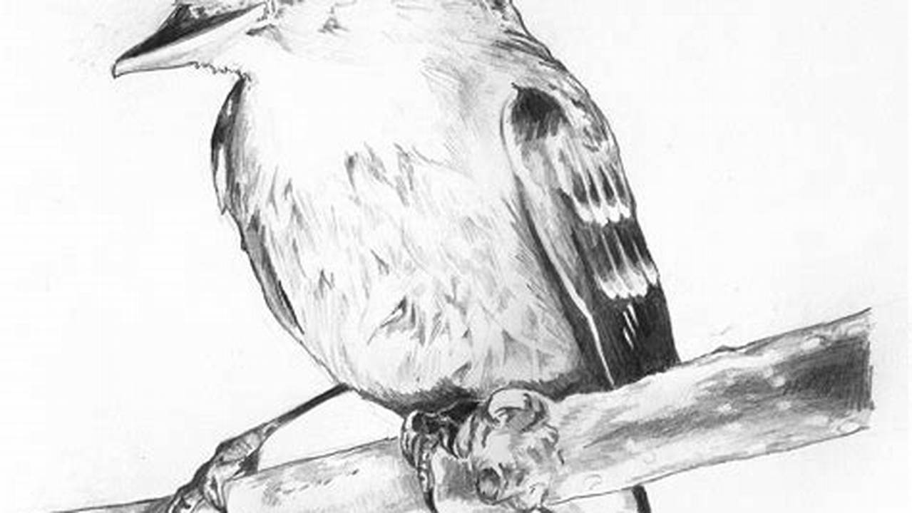 Pencil Sketch Drawing Birds: A Guide for Beginners