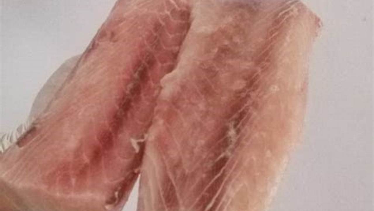 Penghalusan Daging Ikan Tuna, Resep7-10k