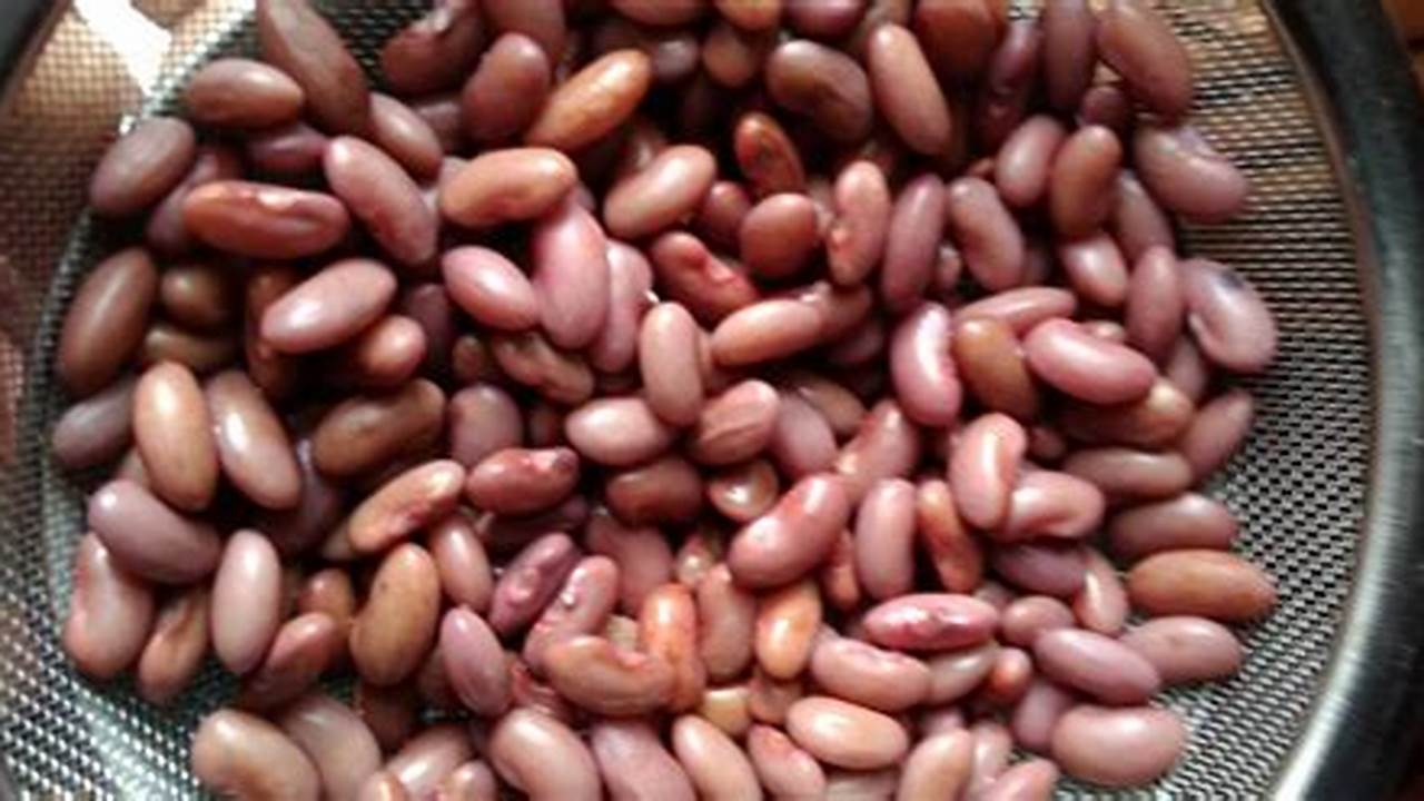 Penyimpanan Kacang Merah Rebus, Resep6-10k