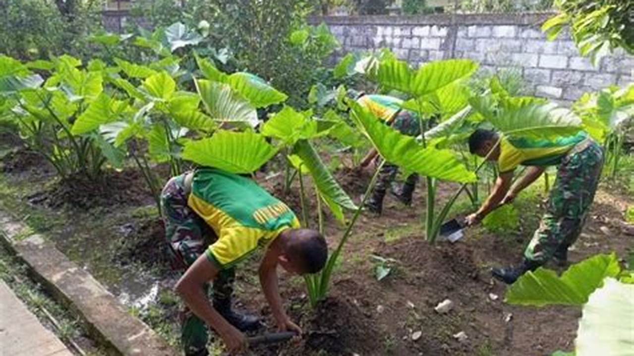 Perawatan Dan Pemeliharaan, Tanaman