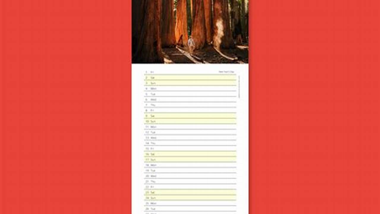 Personalised Slim Calendar 2024 Free