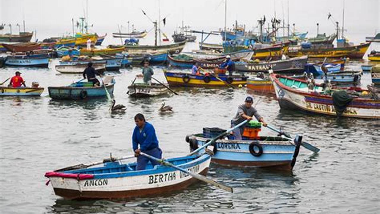 Pesca En Peru 2024