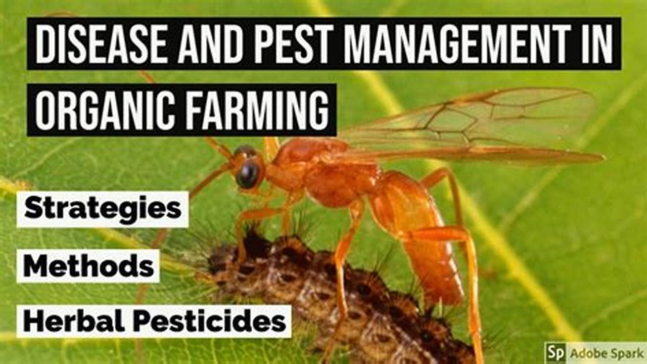 Pest And Disease Management, Farming Practices