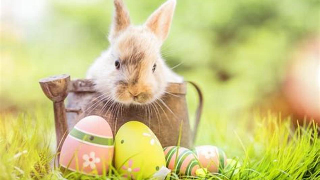 Pet Pictures With Easter Bunny 2024