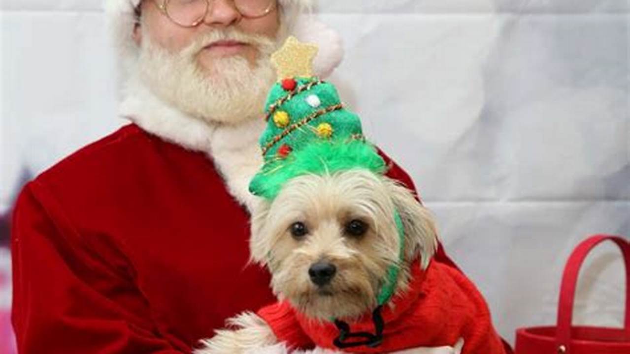 Pet Pictures With Santa 2024
