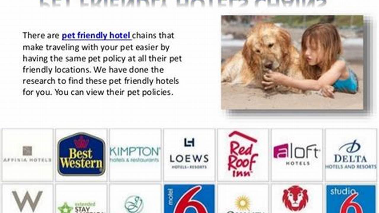 Pet Policy, Pet Friendly Hotel