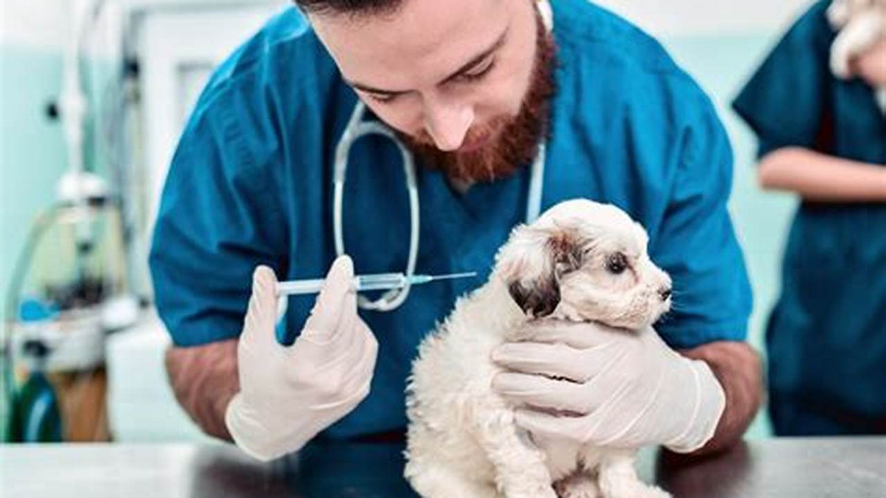 Pet Vaccinations, Pet Friendly Hotel