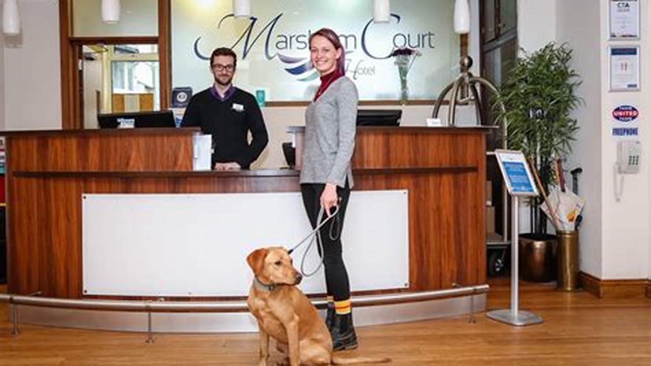 Pet-Friendly Staff, Pet Friendly Hotel