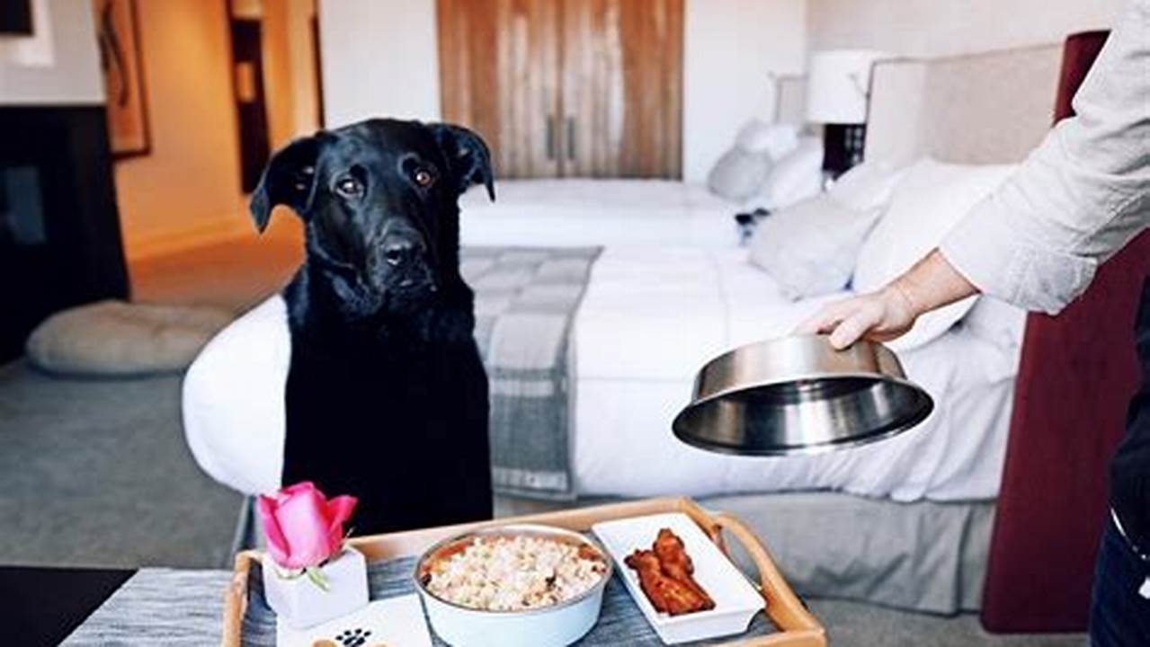 Pet-friendly Menu, Pet Friendly Hotel