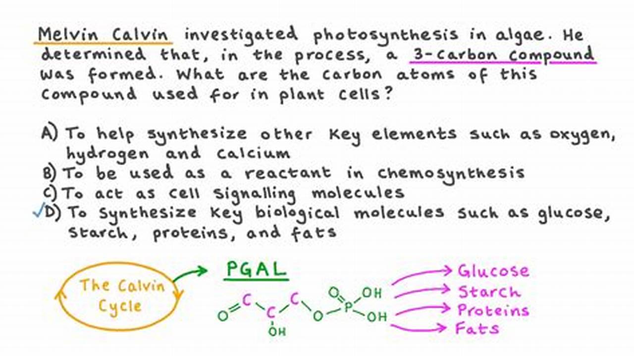 Pgal Biology