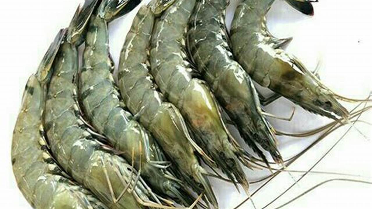 Pilih Udang Segar Dengan Warna Cerah Dan Tidak Berbau Amis., Resep7-10k