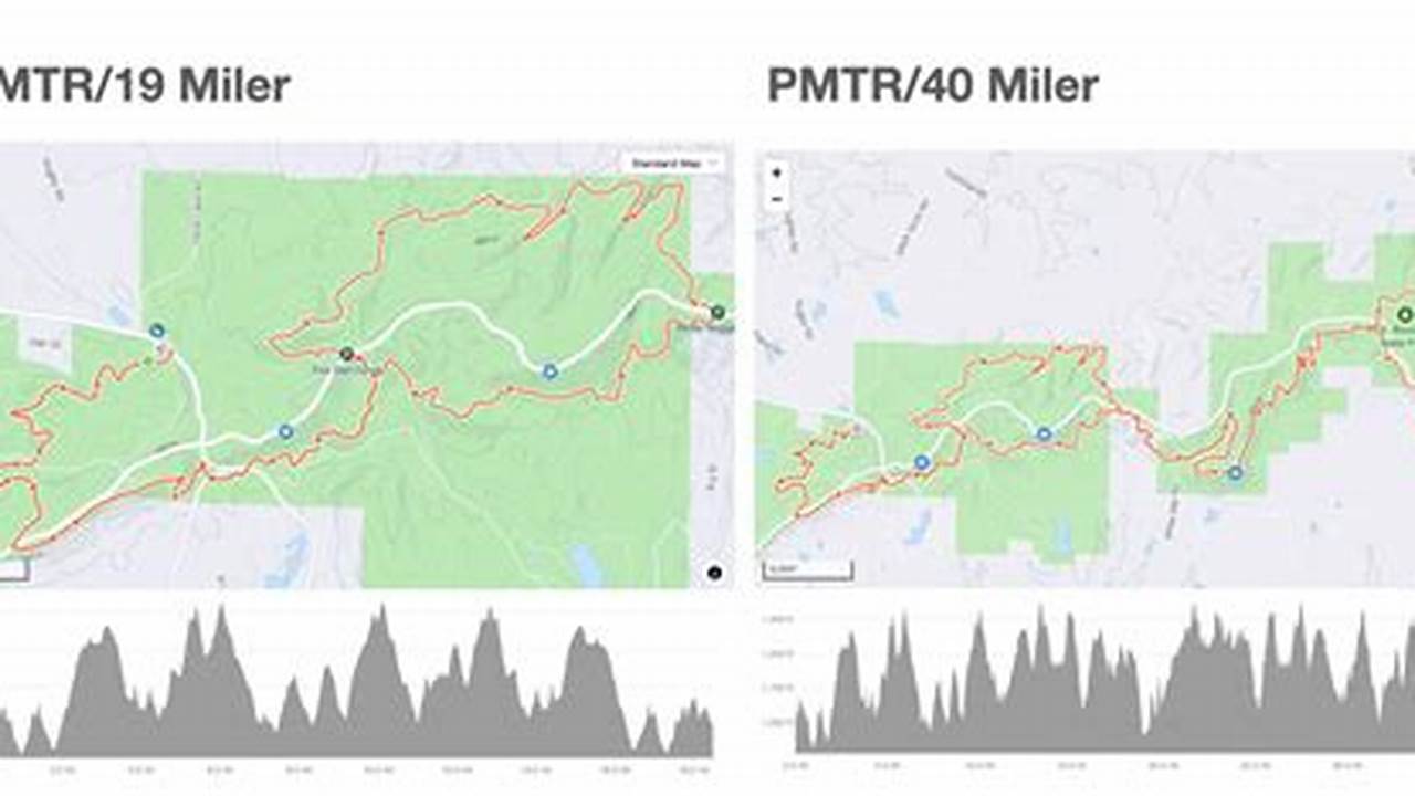 Pine Mountain Trail Run 2024