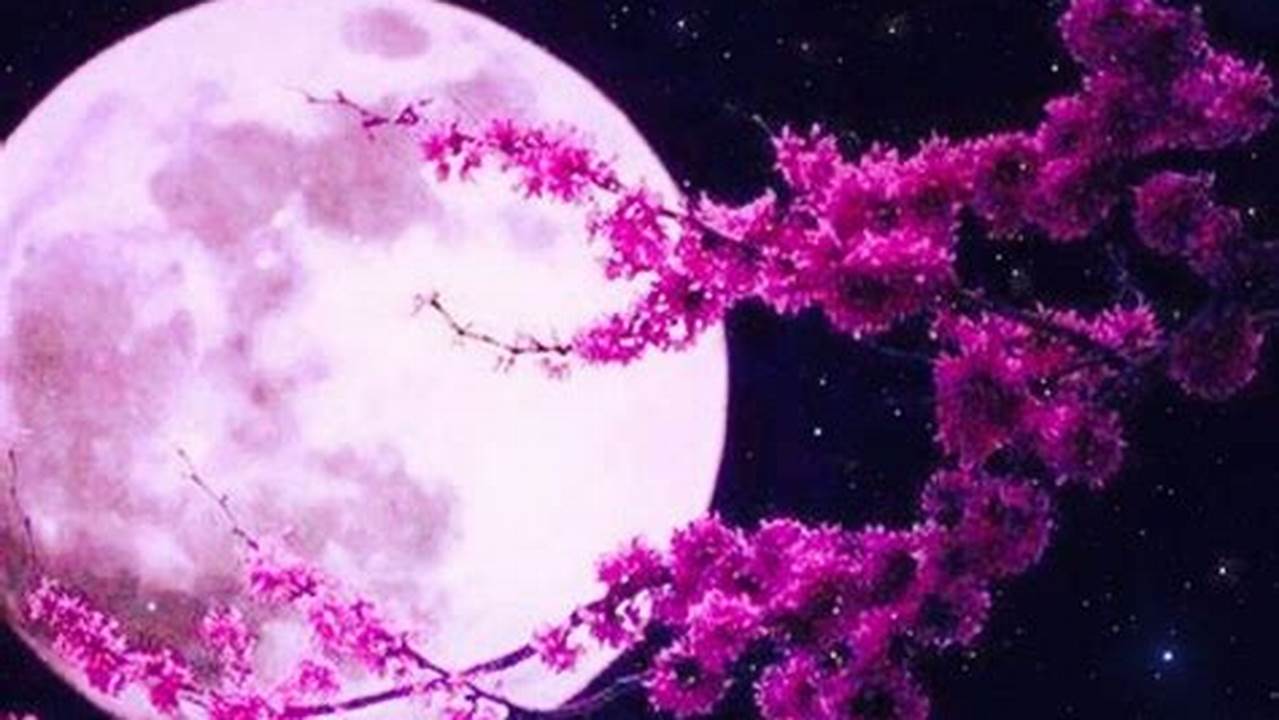 Pink Full Moon 2024 Images Hd